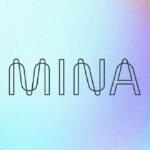 mina protocol , what is mina protocol